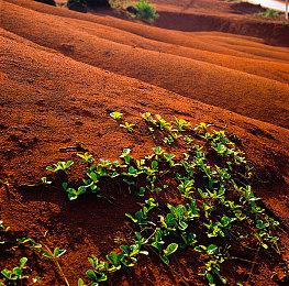 动作冒险游戏《无光之地》开启预购 预购特惠68元